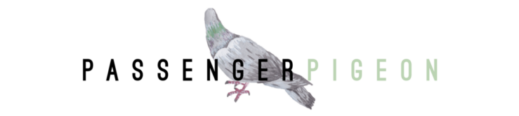 Reiseblog